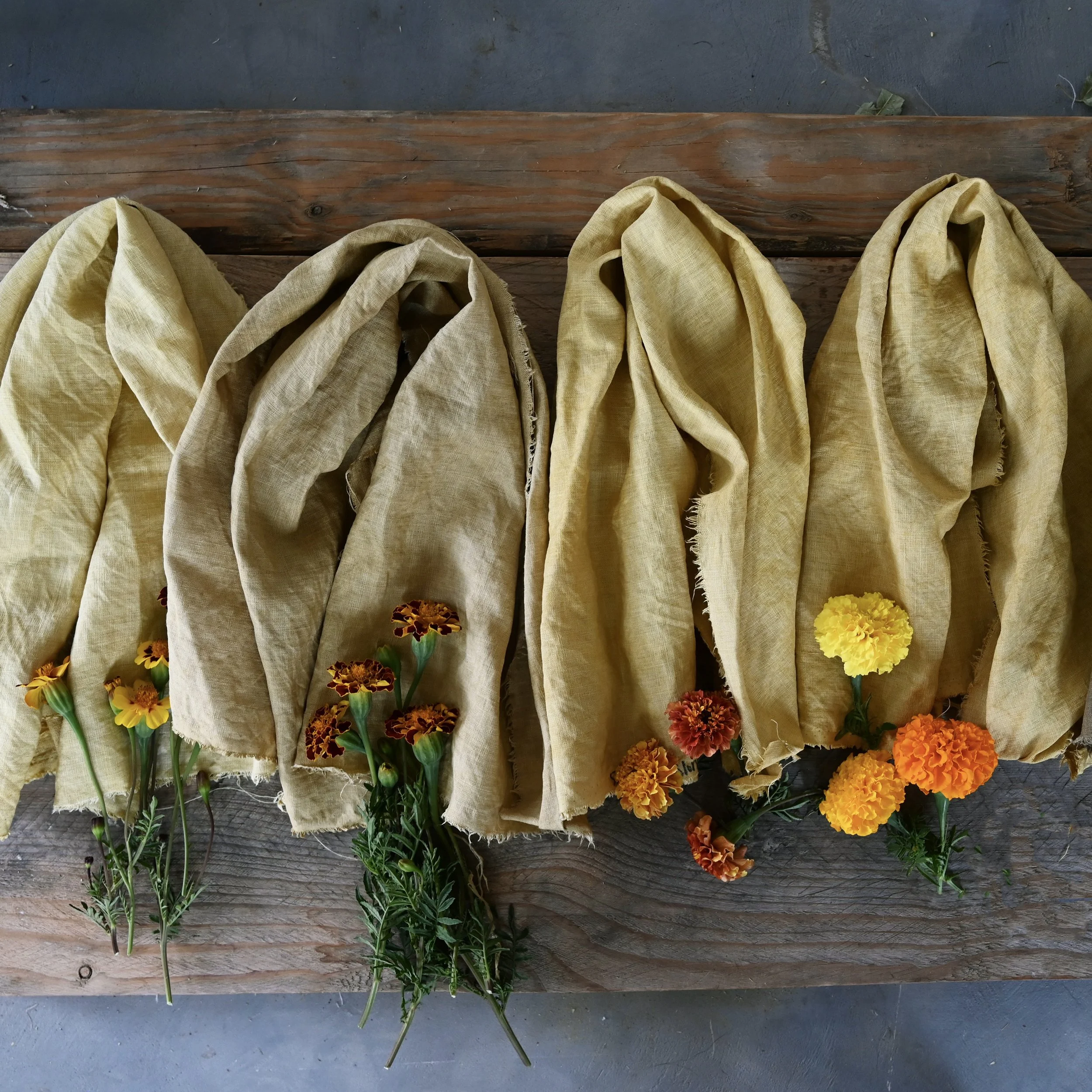 Marigolds: 4 Pack — Farm & Folk